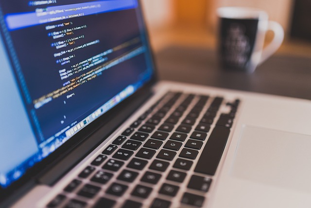 python népszerű program nyelv